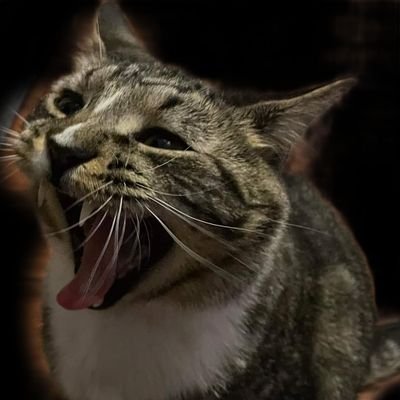 cyanula_nerd's profile picture. None of us are free until we're all free •
🇵🇸🇵🇸🇵🇸🇵🇸 •
History •
Linguistics •
Mycology •
US Foreign policy post-WWII •
Cats •
Dogs