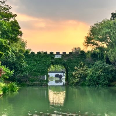 Rin_Z_0239's profile picture. 