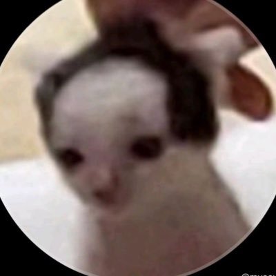 tezluvx's profile picture. (✿) 私は一度だけ生きるために生まれてきた。#KengNamping #TleFirstone