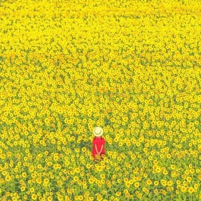 LuSelim5's profile picture. Just a girl who likes cute animals and anime/ I basically only have this to follow people.