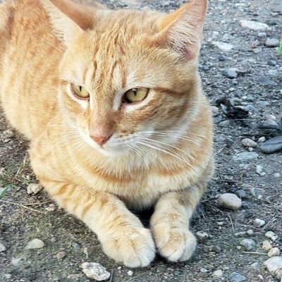 bywdwn16397's profile picture. Advocate policy 🇦🇪