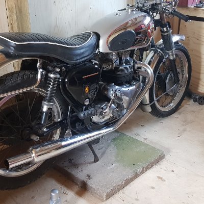 Adrian63096946's profile picture. 