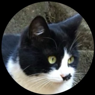 nyaass's profile picture. ぶっつぶーすプロジェクト応援アカウント♡銭湯♡ 温泉♡ 阪神とか♡ 猫♡ 足立康史♡ 美味しいもの♡ 秋田♡ #足立康史が大好きだなー #あだち康史ファミリー #ﾀﾏｷｼｭﾊｧｧ〜ﾝ ~アイコン変えまくり御免~ マイナンバーカードにおけるお問い合わせ御相談は糾弾さんまで➡️ @stangetz88