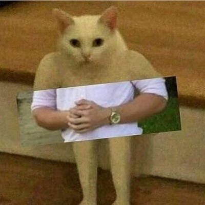 keono4K's profile picture. xD