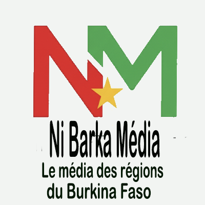 Nibarkamedia's profile picture. 