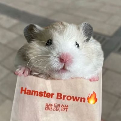 ccb72309468a's profile picture. 屏蔽自由 les 停更  自用蜂鸟VPN https://t.co/bNiYZASVXd