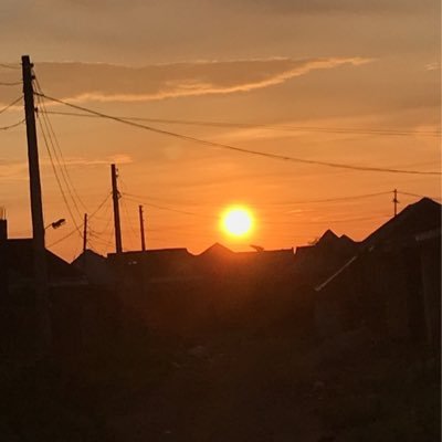 tungee102's profile picture. Gratitude💎