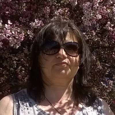 svetfotini's profile picture. 