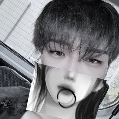 NoelleSilvq's profile picture. 頭がBrrrrr…