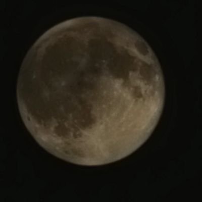 phartners's profile picture. middle aged phannie