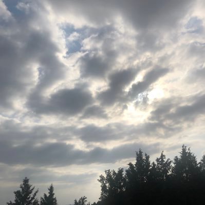 Taha18223282's profile picture. 🌏