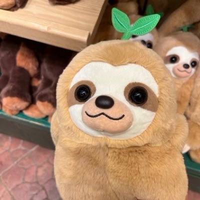 kevinkc227's profile picture. 