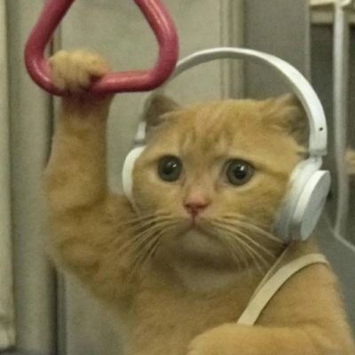 itis_RK's profile picture. 