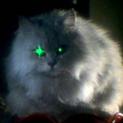 Minaintheeast's profile picture. local yapper