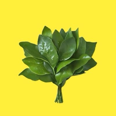 gll580030875001's profile picture. 