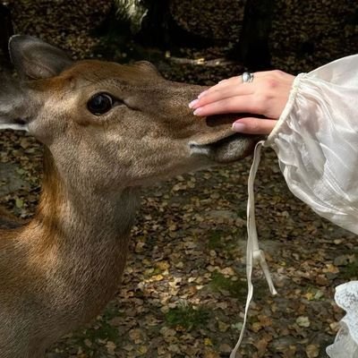 Blackemi096's profile picture. 生きている喜びに酔いしれる音楽好き