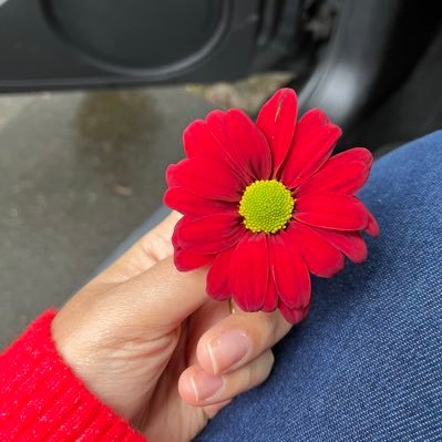 Greekiehv's profile picture. MSc by @QUBelfast Peruana 🇵🇪. Hincha del pan con 🥑 y el emoliente. Pet lover 🐾❤️