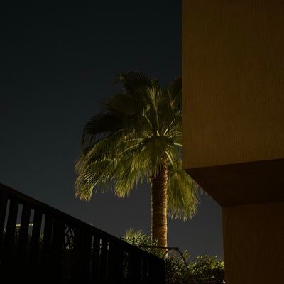 rosannhamad's profile picture. Low⚖️