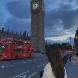 dashnesche95337's profile picture.