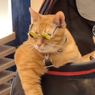 blueize_'s profile picture. easy peasy // 24