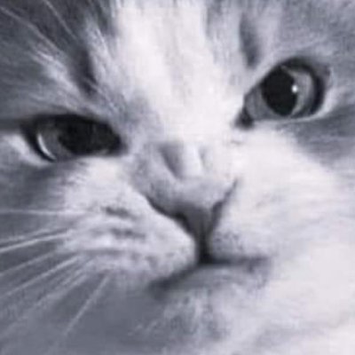 JLessard59645's profile picture. 