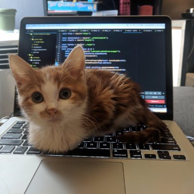 kirukatz's profile picture. Maybe it's time to actually start using this account for something useful