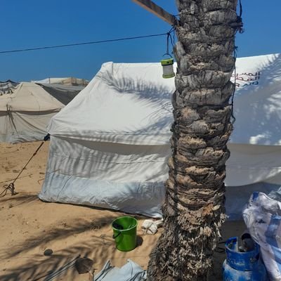 Nada45317's profile picture. هذا الوقت سيمضي