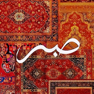 MDSajibAhm27079's profile picture. 