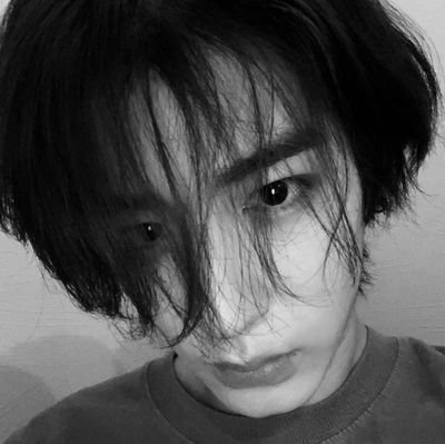 lynnevewh's profile picture. lonely whale