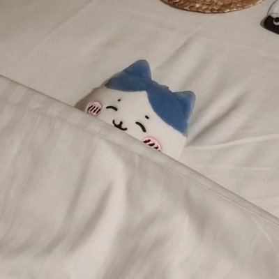 largeboke's profile picture. Co ceo NTM | échec à temps partiel et peut-être @malakiffance