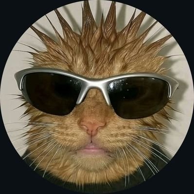 Yasser_souilah's profile picture. 