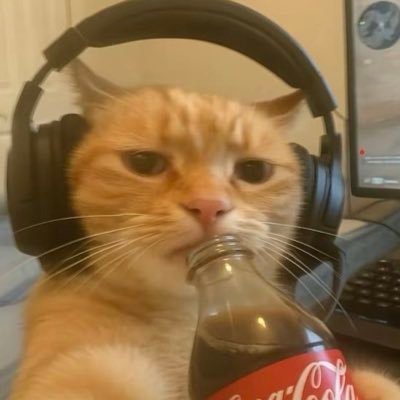 freshoutswift's profile picture. the life of a showgirl 🇮🇹🇲🇦