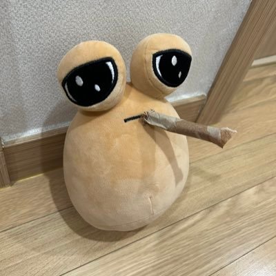 hometownloser's profile picture. i may be stupid