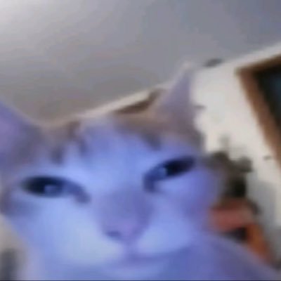 Lunynna's profile picture. 19. || 🇲🇽