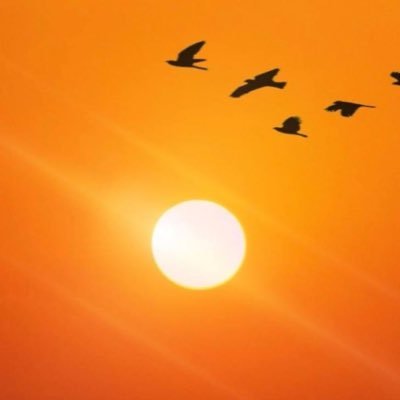 akar8037's profile picture. Senior Civil Engineer