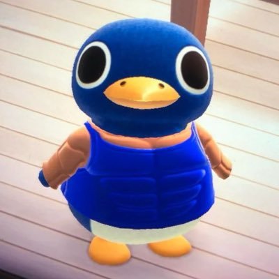 paulaahl9's profile picture. 🌷🌻🪻🌼🌺🪷🌹💐