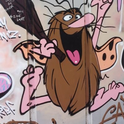 KisesIndia's profile picture. 