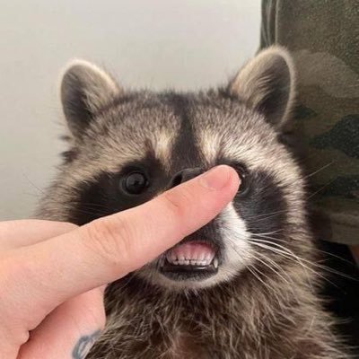 ayasev4's profile picture. 