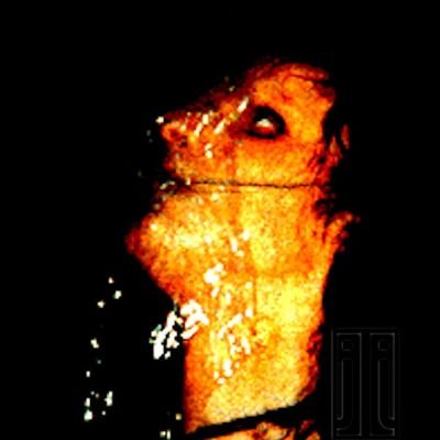 user723484483's profile picture. 