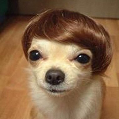 JohnnyScrod's profile picture. Christian-Animal Lover-Constitutional Conservative.