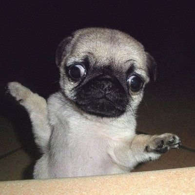 jorge6434042950's profile picture. 