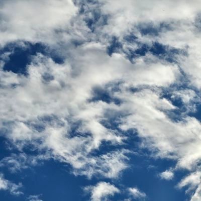 mickeymou_z's profile picture. 