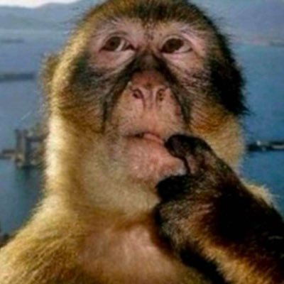 Silly_User_123's profile picture.