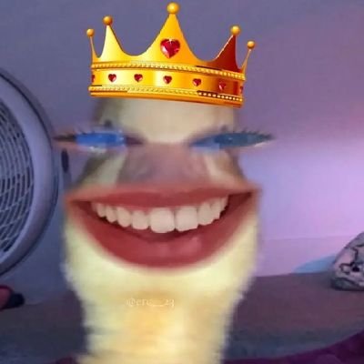 DanyHippiosa's profile picture. Corazón a la izquierda. Hippiosa , Sapiosexual Ah! y maestra de Inglés ✌🏼
#AMLOpresidente ❤️