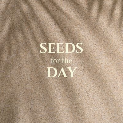 seedsfortheday's profile picture. Let these seeds take root in you, one day at a time.