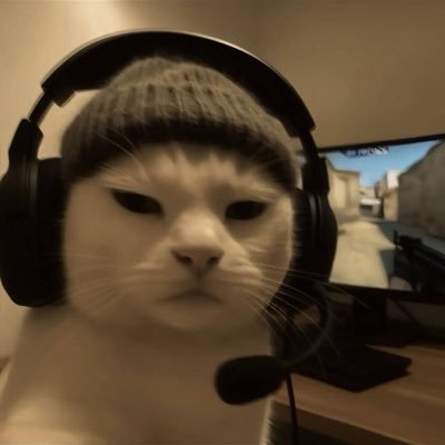 FrontendDavid's profile picture. Junior Frontend Dev | JS • React