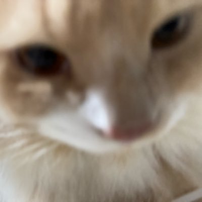 tangerinelilies's profile picture. imperyalismo ibagsak.