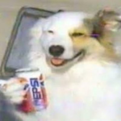echoknights41's profile picture. Multifandom / in my 20's/ Transfem/ Any pronouns