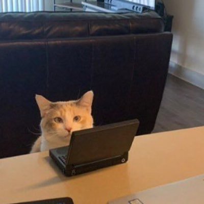 bism_arck's profile picture. Journey to the NORTH