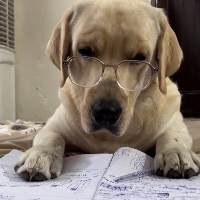 sofinstein's profile picture. #studytwt